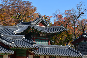 Autumn at Changdeokgung Palace, a Joseon Dynasty palace located in Seoul, South Korea