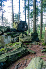 Obraz premium Hiking on the Hadriwa High Path in the Bavarian Forests Germany.