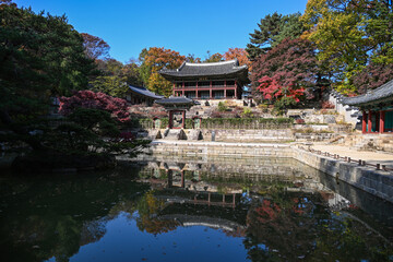 Autumn at Changdeokgung Palace, a Joseon Dynasty palace located in Seoul, South Korea
