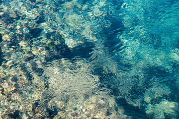 Underwater Clarity: A Glimpse of the Marine World. Crystal-clear water reveals the vibrant marine life and rocky seabed below.