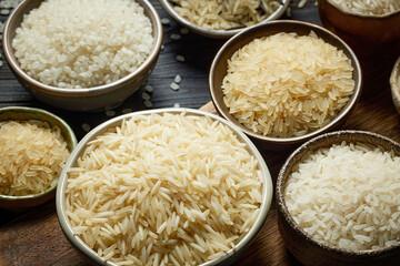different types of rice