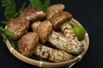 とれたてのマツタケ