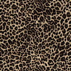 leopard, wool texture, fluffy background, beautiful jaguar spots, fashion print