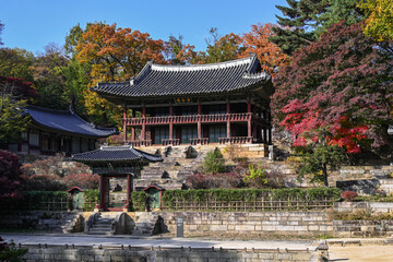 Autumn at Changdeokgung Palace, a Joseon Dynasty palace located in Seoul, South Korea