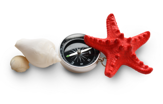 Compass, seastar and seashells on white