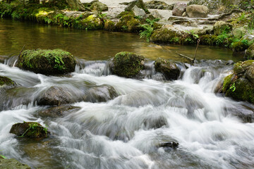 上賀茂神社境内を流れる川の風景