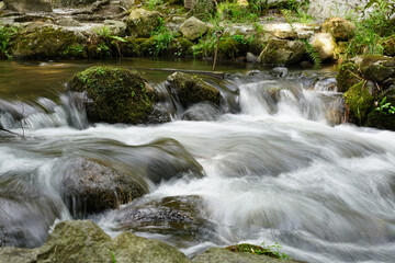 上賀茂神社境内を流れる川の風景