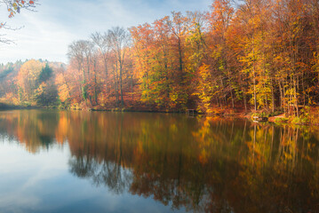 Autumn colorful foliage over lake with beautiful woods in red and yellow color. Bakony Forest and Mountain, Pisztrangos Lake, Hungary