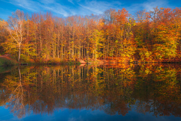 Autumn colorful foliage over lake with beautiful woods in red and yellow color. Bakony Forest and Mountain, Pisztrangos Lake, Hungary. Long exposure shot.