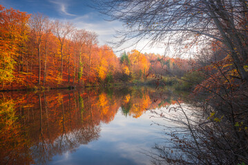Autumn colorful foliage over lake with beautiful woods in red and yellow color. Bakony Forest and Mountain, Pisztrangos Lake, Hungary. Long exposure shot.