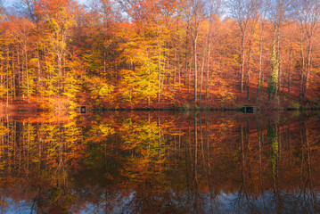 Autumn colorful foliage over lake with beautiful woods in red and yellow color. Bakony Forest and Mountain, Pisztrangos Lake, Hungary. Long exposure shot.