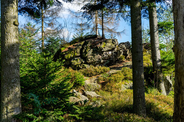 Hiking on the Hadriwa High Path in the Bavarian Forests Germany.