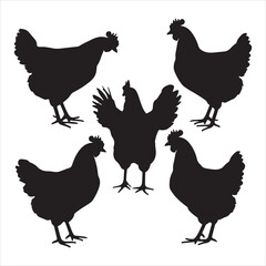 set of vector different types of chicken silhouette