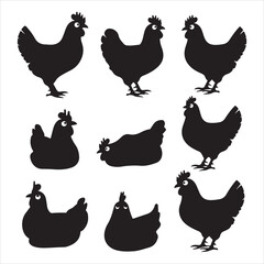 set of vector different types of chicken silhouette