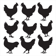 set of vector different types of chicken silhouette