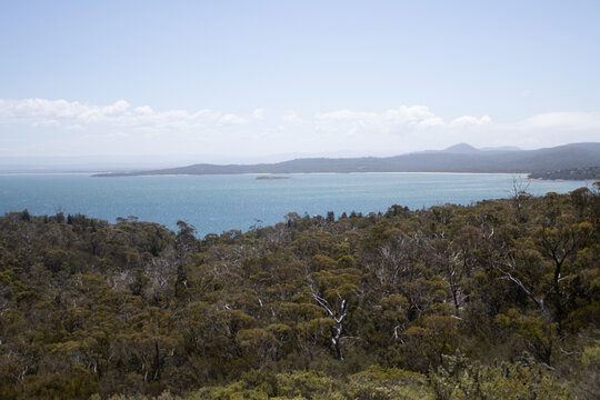 View of Vineglass Bay