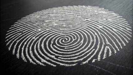 Black and White Fingerprint Background Close-up, Person Identification Technology, Innovation and...