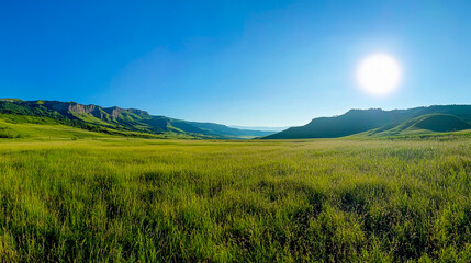 Fototapeta premium Beautiful grassy meadow landscape with a blue sky and sun, a wide panorama. A beautiful green field in the spring or summer season. A green nature background