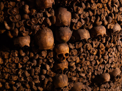 A haunting stock photo capturing the macabre beauty of the Paris Catacombs. The image features human skulls meticulously arranged in the shape of a cross, set against a backdrop of countless bones.