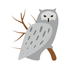 A polar owl sits on a branch. Isolated vector illustration in clip art style for your design