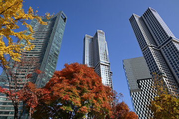 Seoul Forest Park and surrounding apartment buildings in eastern Seoul, South Korea