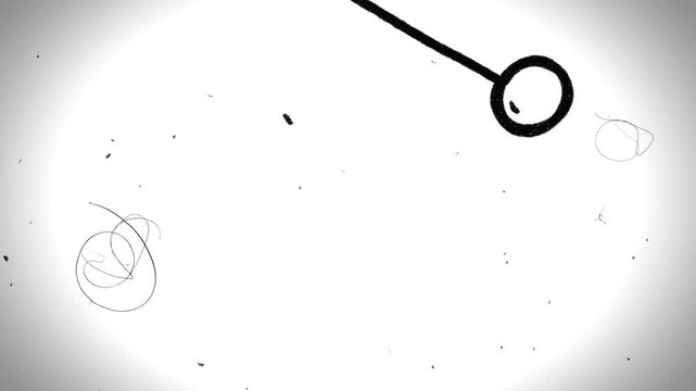 pendulum on white background video