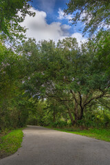 Asphalt path leads you along lush green foliage at the New Tampa Nature Park a Autism Friendly Park in Hillsboro County Tampa Bay Florida USA