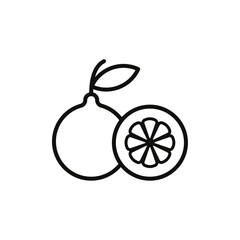 Fototapeta premium Citrus fruit icon flat line symbol set.