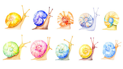 Collection of multicolored watercolor snails, beautifully illustrated and isolated on a clean white background