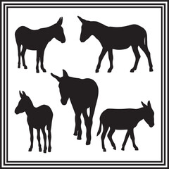 Donkey silhouette set, silhouette of wild animal.