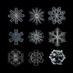 Beautifully detailed snowflakes, perfect for digital projects, greeting cards, and holiday-themed branding.