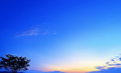 Fototapeta premium Soft hues of morning light blend with a clear blue backdrop.