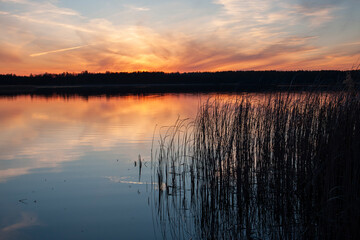 A view of the lake after sunset with the tree line on the other shore.