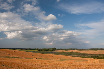 Obraz premium Fields after grain harvest with lying straw bales in a diverse agricultural landscape with wetlands in the background