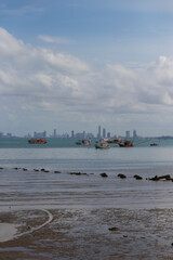 A tranquil seascape featuring boats on a calm sea with a city skyline in the background under a cloudy sky.