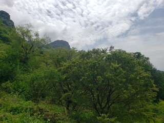 مناظر طبيعية 