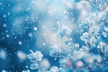 Close-up of frost-covered branches against a soft blue background with falling snow.