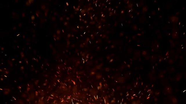 Flying around fire dust particles sparks or ember from a burning fire with realistic movement. on a black background