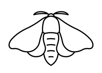 Silk moth, line icon. Bombyx, mulberry silk moths insect - linear illustration of butterfly also known as silkworms. Linear illustration, editable strokes, minimalist symbol