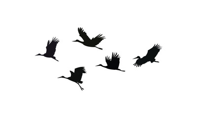 Flying Stork Silhouette Design  And Vector Illustration. 