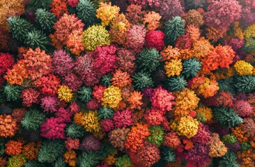 Colorful autumn leaves on the Blue Ridge Parkway in October