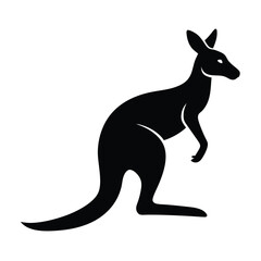 kangaroo illustration