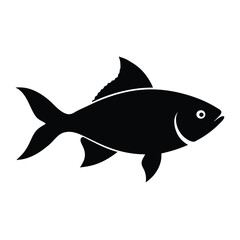 fish isolated on white