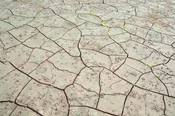 Earth ground crack with dust and rough dry surface texture ,Drought land lack of water