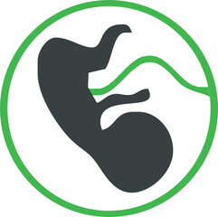 vector icon of baby in the womb