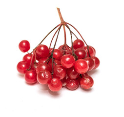 a bunch of red berries isolated on white background