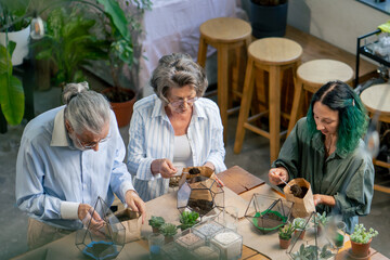 top shot master class on creating compositions from plants for elderly people green-haired teacher happy old age elderly couple pleasant memories leisure time in old age