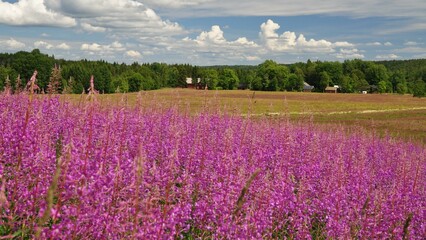 Fototapeta premium Dalsland-12