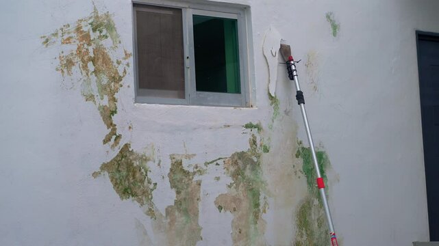 Man removing old paint from wall with a spatula, revealing mold underneath. Home renovation, mold issues, and wall restoration concept.