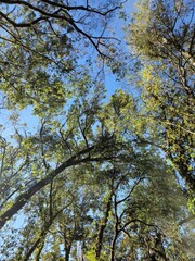 Blue sky
